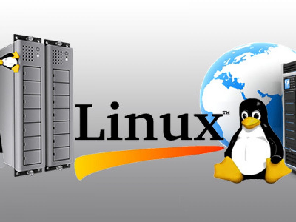 Linux хостинг. Linux хостинг